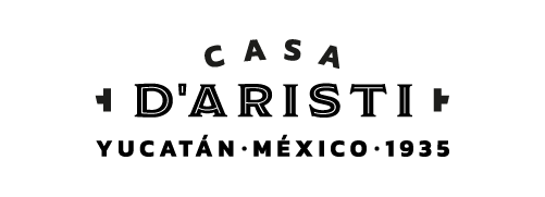 logo casa d aristi